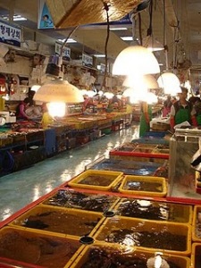 Jagalchi Market fresh seafood - Busan (Pusan) City South Korea